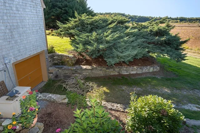 a view of a lake with a flower garden