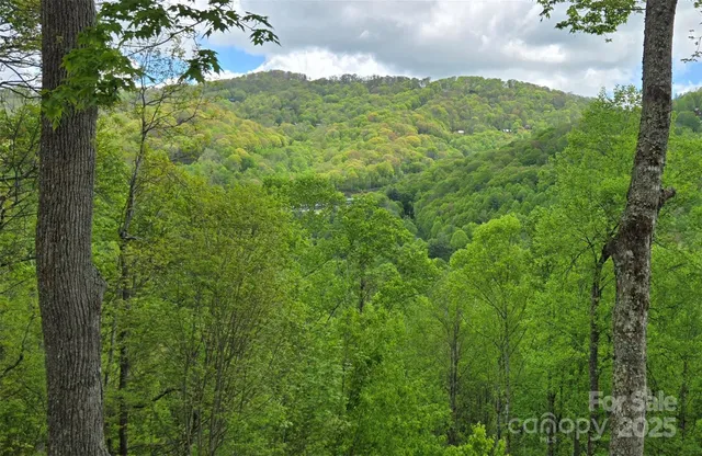 $419,000 | 70 Double Back Lane, Mars Hill, NC 28754