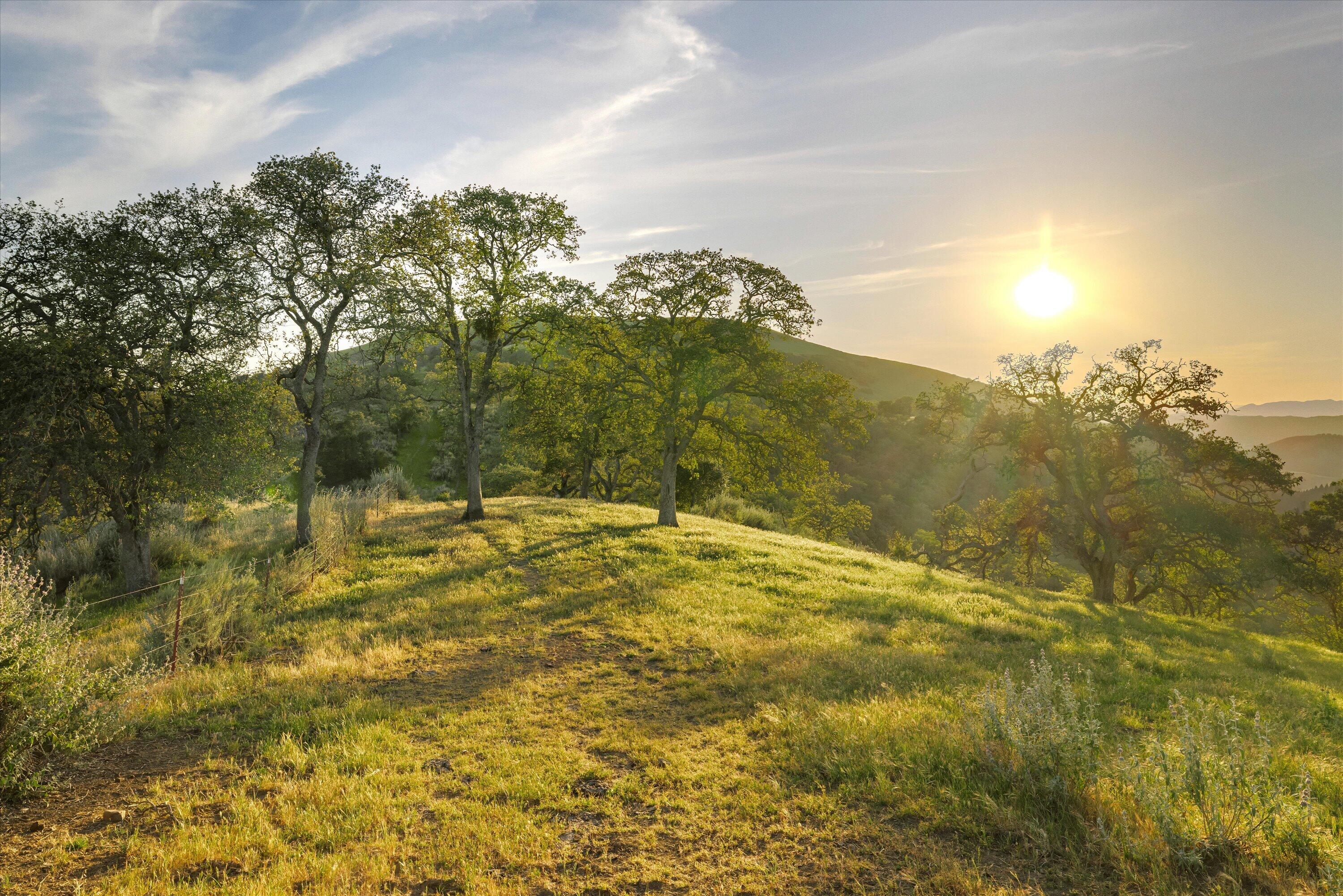 12707 Huasna Road Arroyo Grande, CA 93420 - Photo 54 of 77 54MLS in Order - Huasna