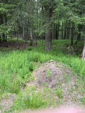 $59,500 | Creamery Road, Monticello, NY 12701
