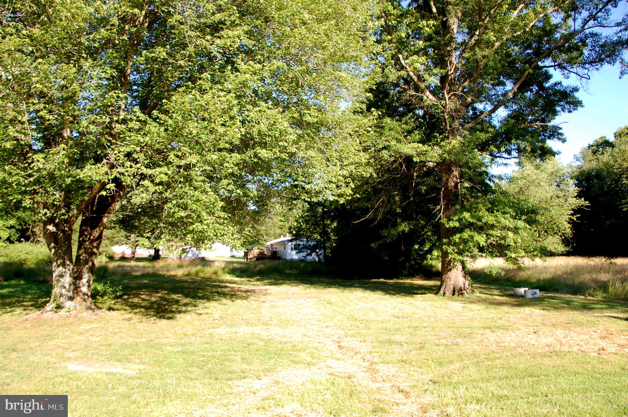 8861 Georgetown Road Chestertown, MD 21620 - Photo 23 of 23 Rear Yard
