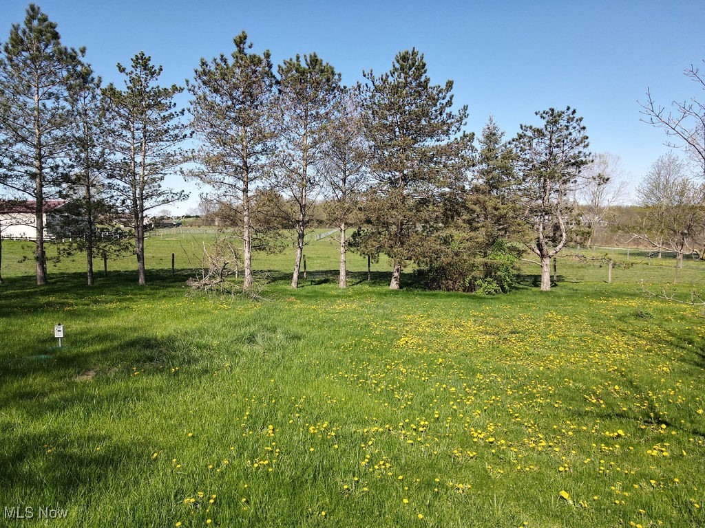 3464 South Bailey Road North Jackson, OH 44451 - Photo 6 of 33 View of yard featuring a rural view