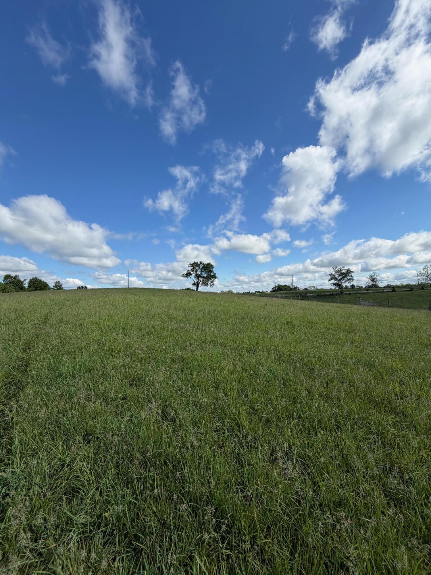 6.93-ac Chipman Ridge Road Williamstown, KY 41097 - Photo 7 of 10
