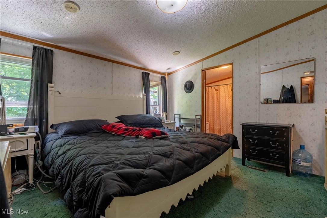 2176 Pageant Road Southeast Carrollton, OH 44615 - Photo 16 of 39 Bedroom featuring ornamental molding, wallpapered walls, carpet flooring, multiple windows, and a textured ceiling