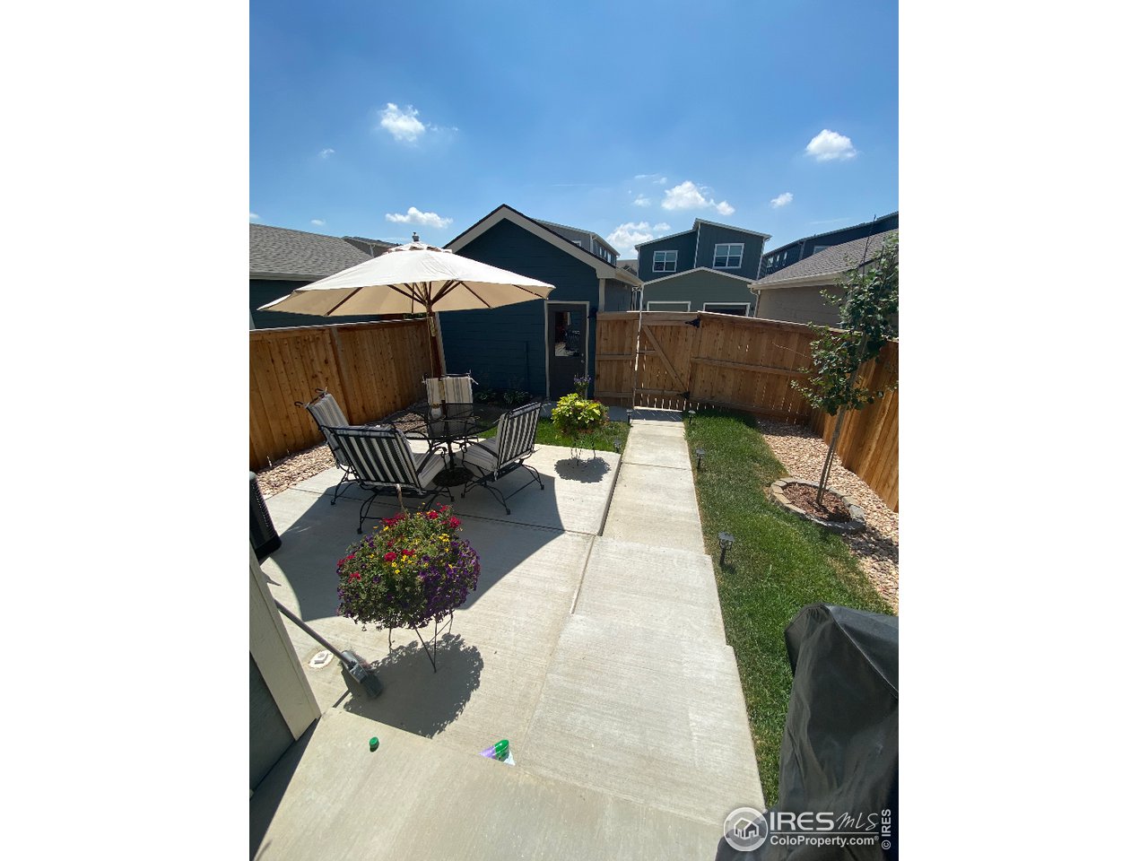 713 Country Rd Trail Berthoud, CO 80513 - Photo 27 of 27 Backyard landscaping in the summertime