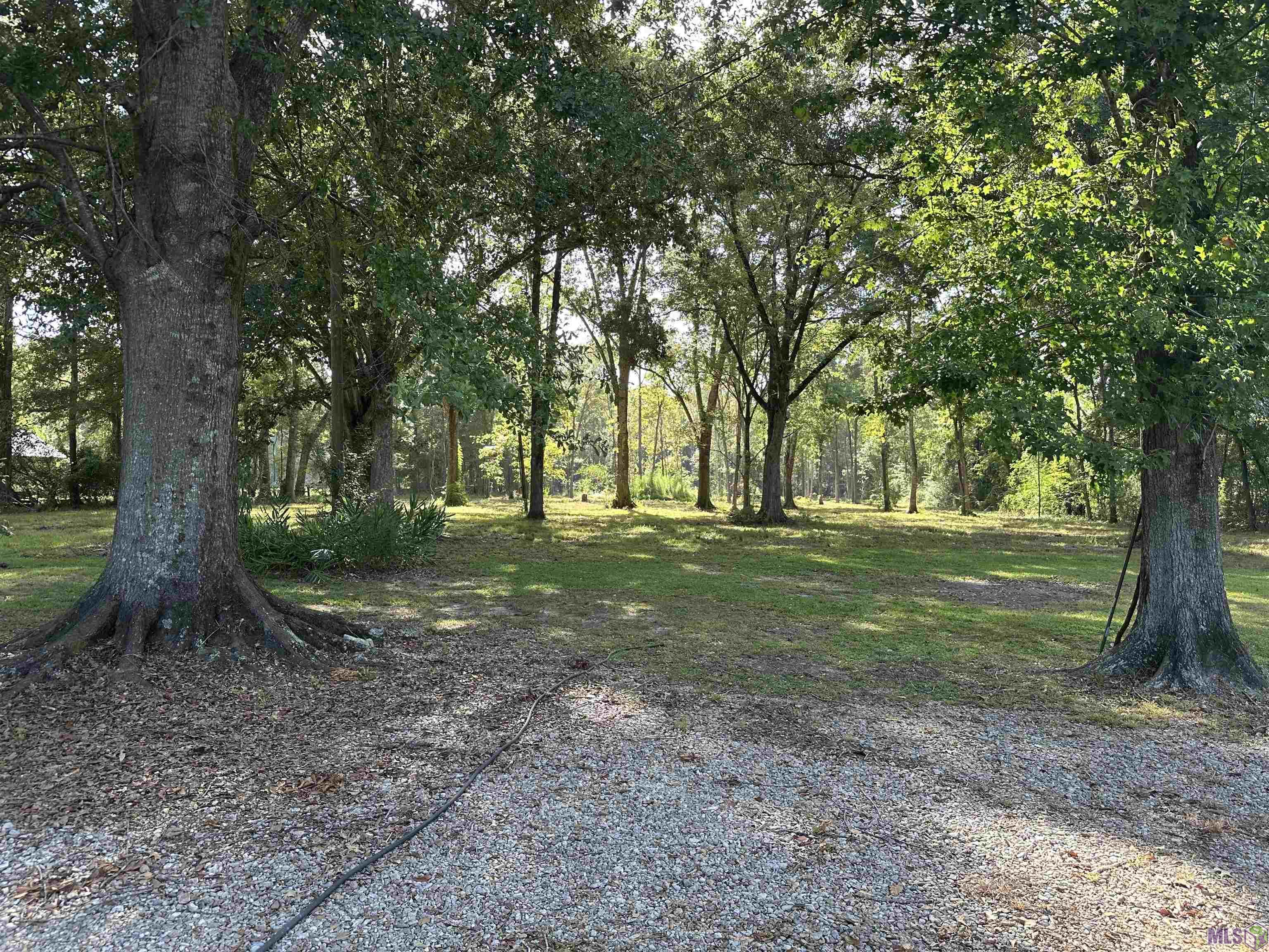 20335 MacHost Road Zachary, LA 70791 - Photo 9 of 9 Gallery Image 9