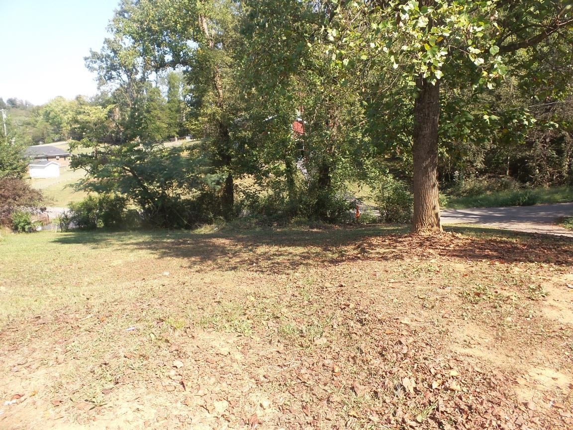 208 Cox Road Loudon, TN 37774 - Photo 16 of 19 Gallery Image 16