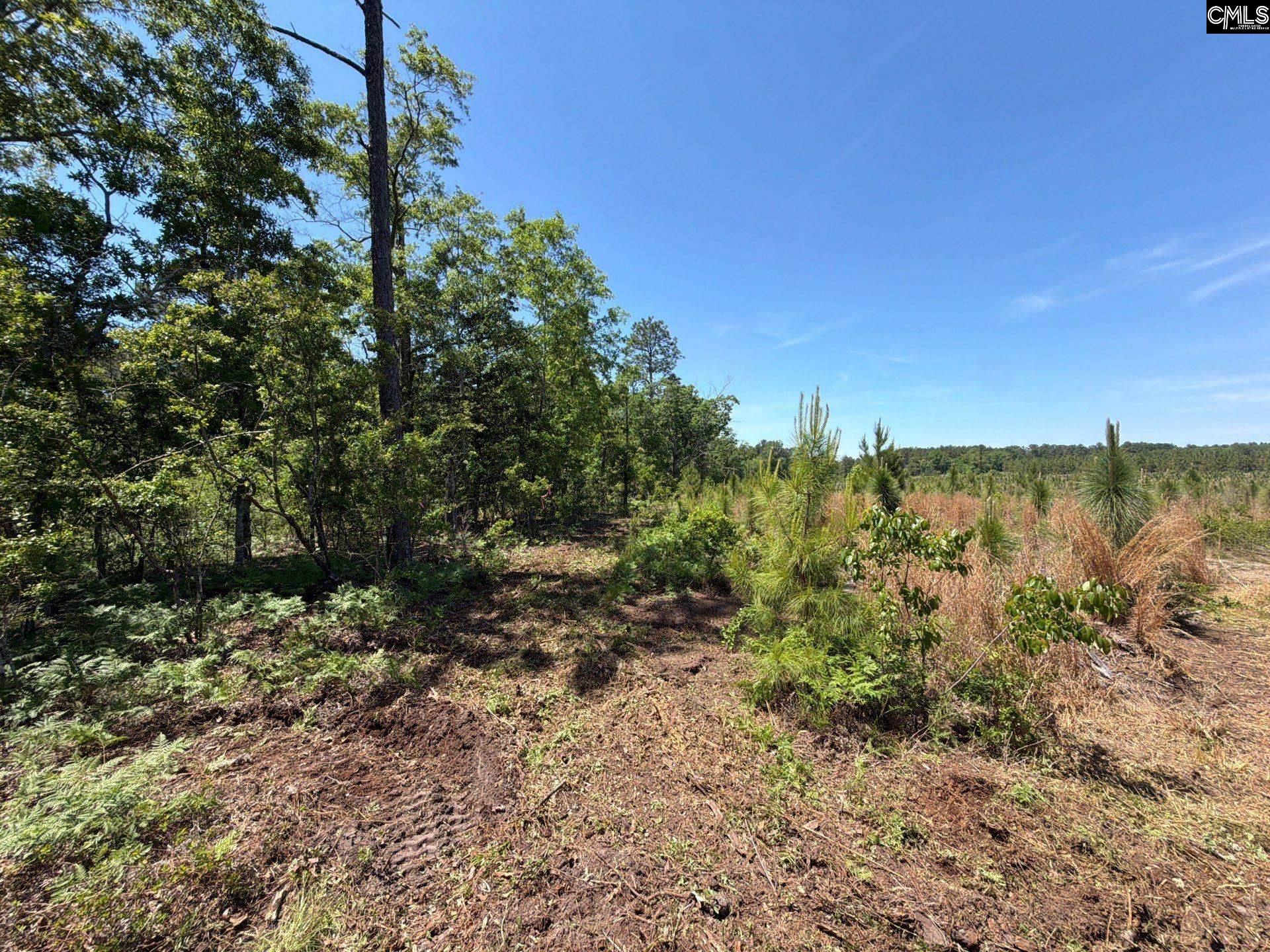 1 Holstein Road Monetta, SC 29105 - Photo 35 of 36