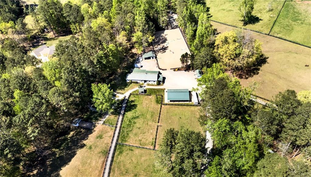 565 Old Lathemtown Road Canton, GA 30115 - Photo 6 of 73 a view of a yard with plants and large trees