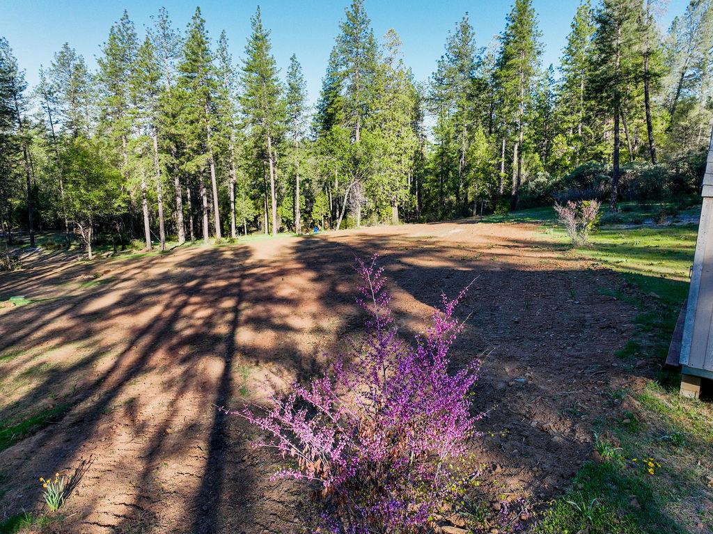 13279 Thoroughbred Loop Grass Valley, CA 95949 - Photo 1 of 33 a view of a backyard with swimming pool