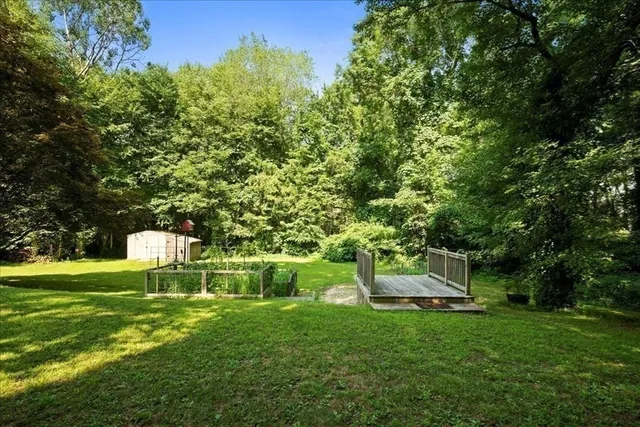 a view of a park with a bench