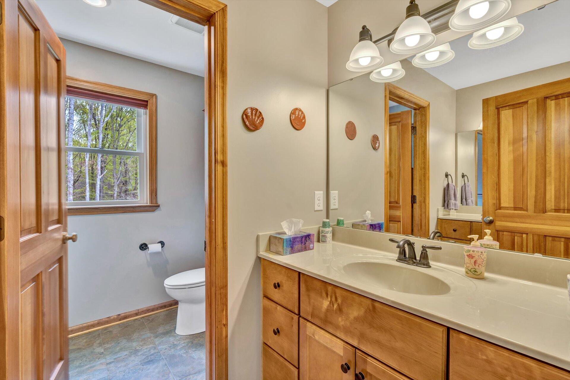 6 Highland Lake Road Union Hall, VA 24176 - Photo 21 of 56 a bathroom with a double vanity sink a toilet and a mirror