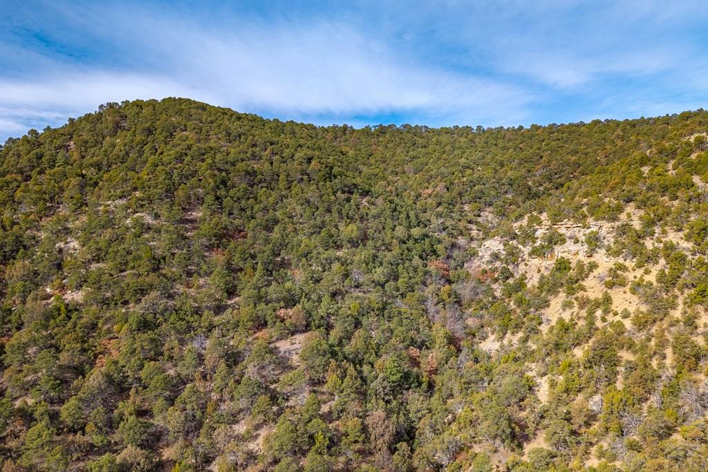 26131 Pinon Ridge Drive Trinidad, CO 81082 - Photo 57 of 63