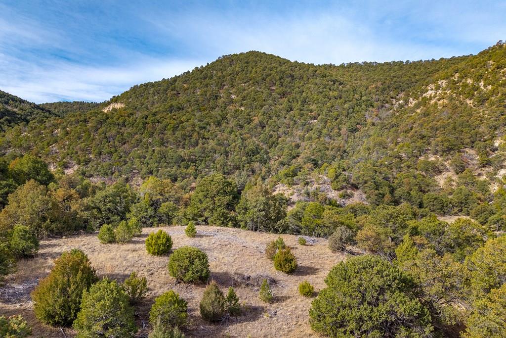 26131 Pinon Ridge Drive Trinidad, CO 81082 - Photo 58 of 63