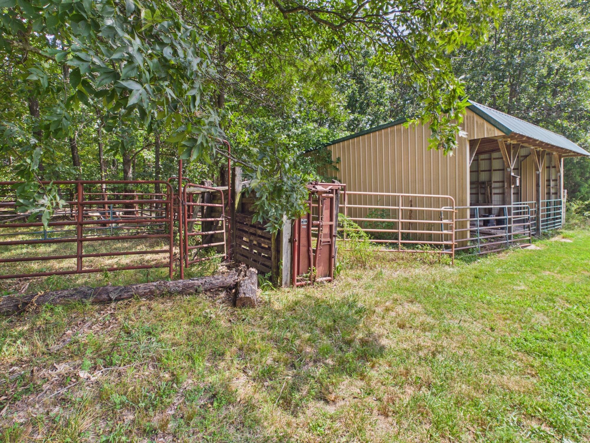 12283 Stave Mill Road Cabool, MO 65689 - Photo 122 of 150 CAM03368G0-PR0056-STILL126