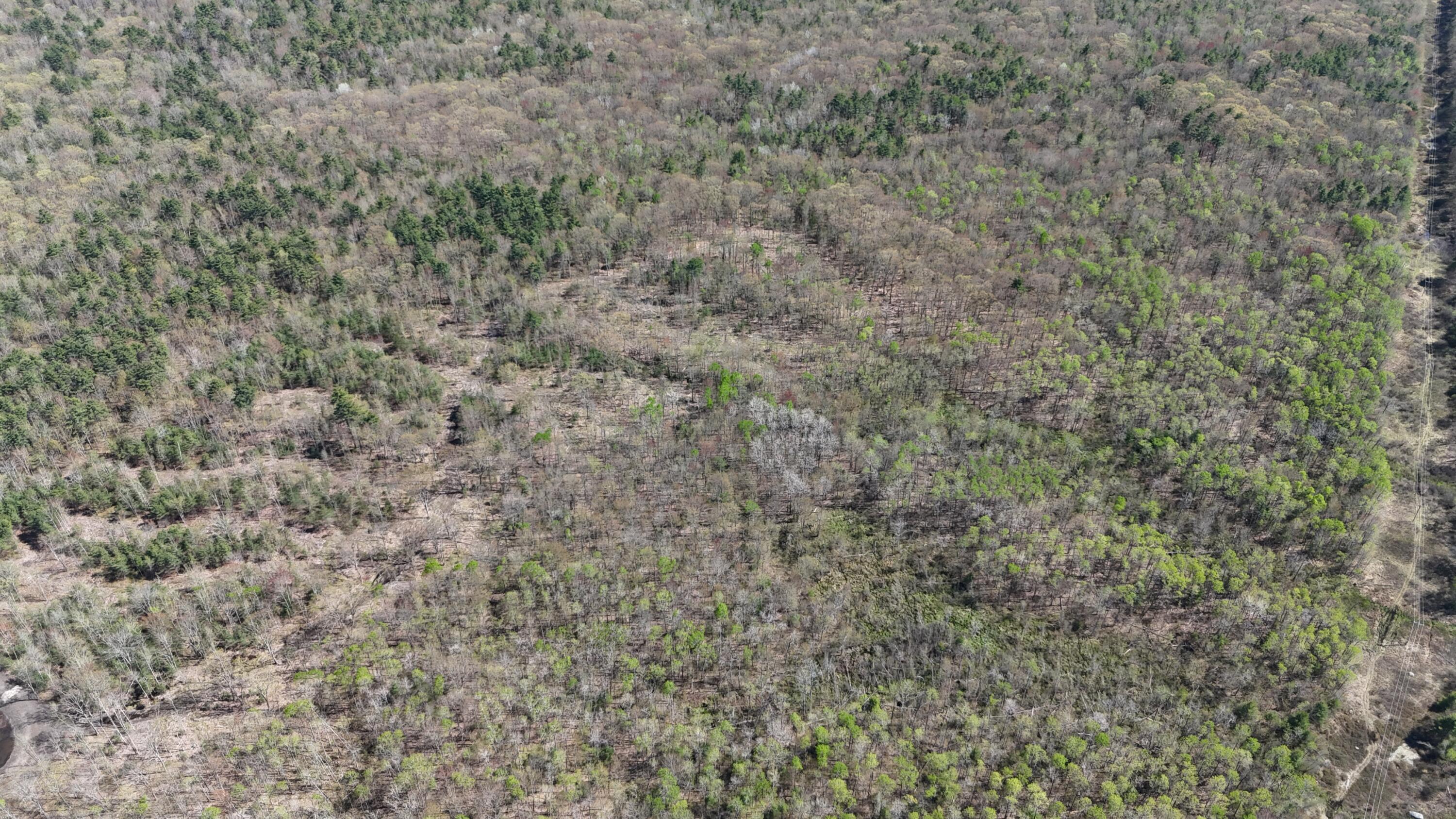 -proctor Proctor Road Arundel, ME 04046 - Photo 4 of 5 dji_fly_20260516_151026_0075_17790240734