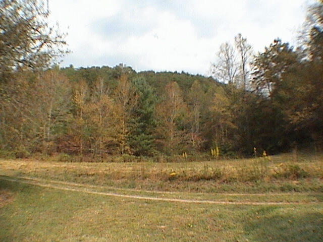 120 Price Road Reliance, TN 37369 - Photo 1 of 7 3 - small field