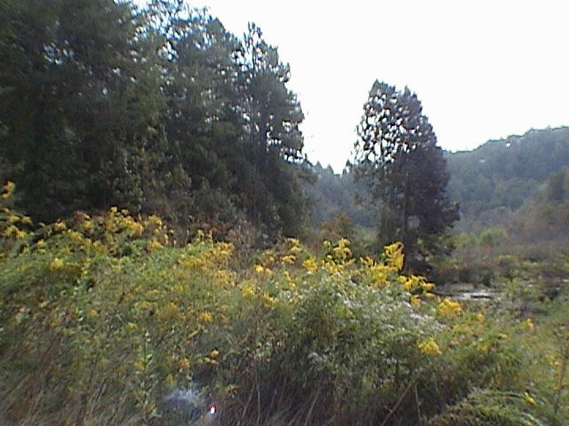 120 Price Road Reliance, TN 37369 - Photo 2 of 7 5 - view toward hills