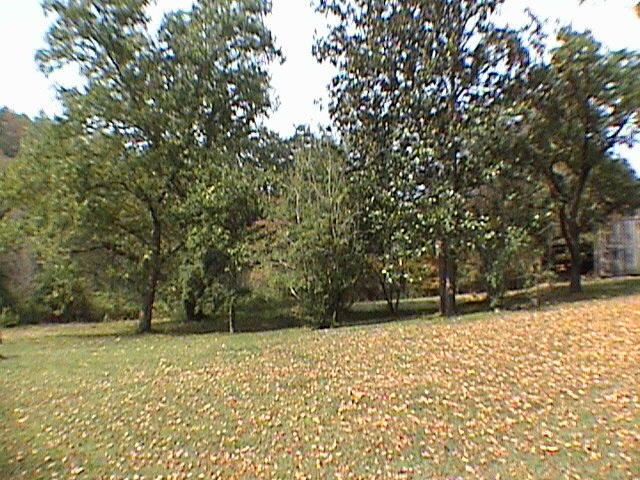 120 Price Road Reliance, TN 37369 - Photo 3 of 7 6 - yard