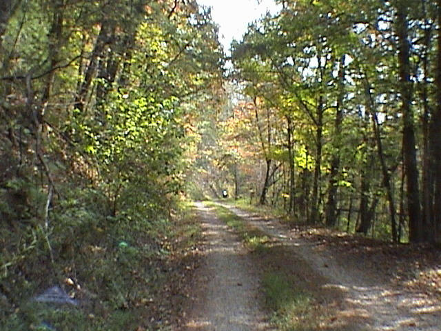 120 Price Road Reliance, TN 37369 - Photo 4 of 7 7 - driveway into property