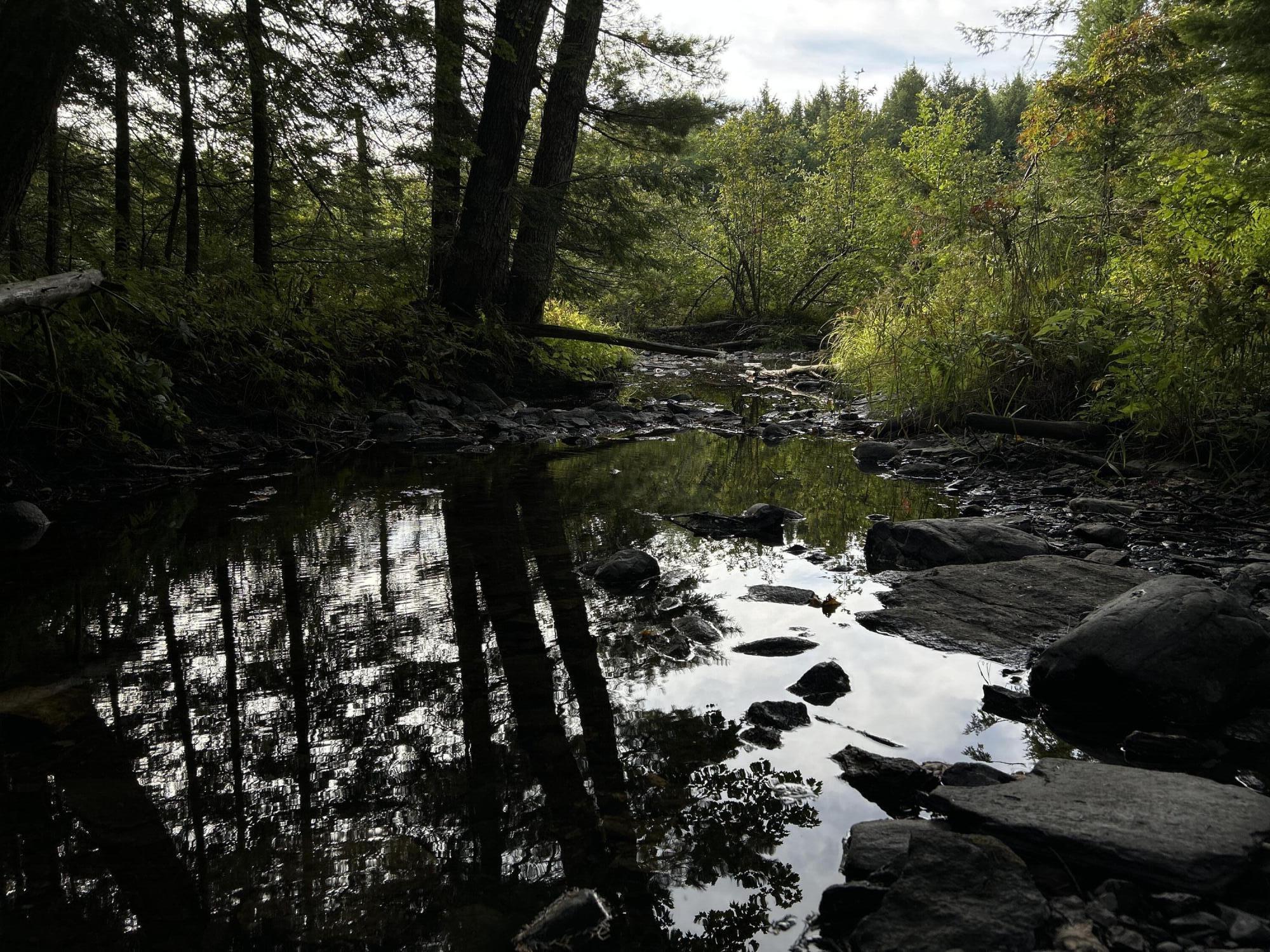 M4-l14 Village Road Jackson, ME 04921 - Photo 31 of 37