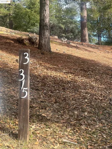 a view of a street with large trees