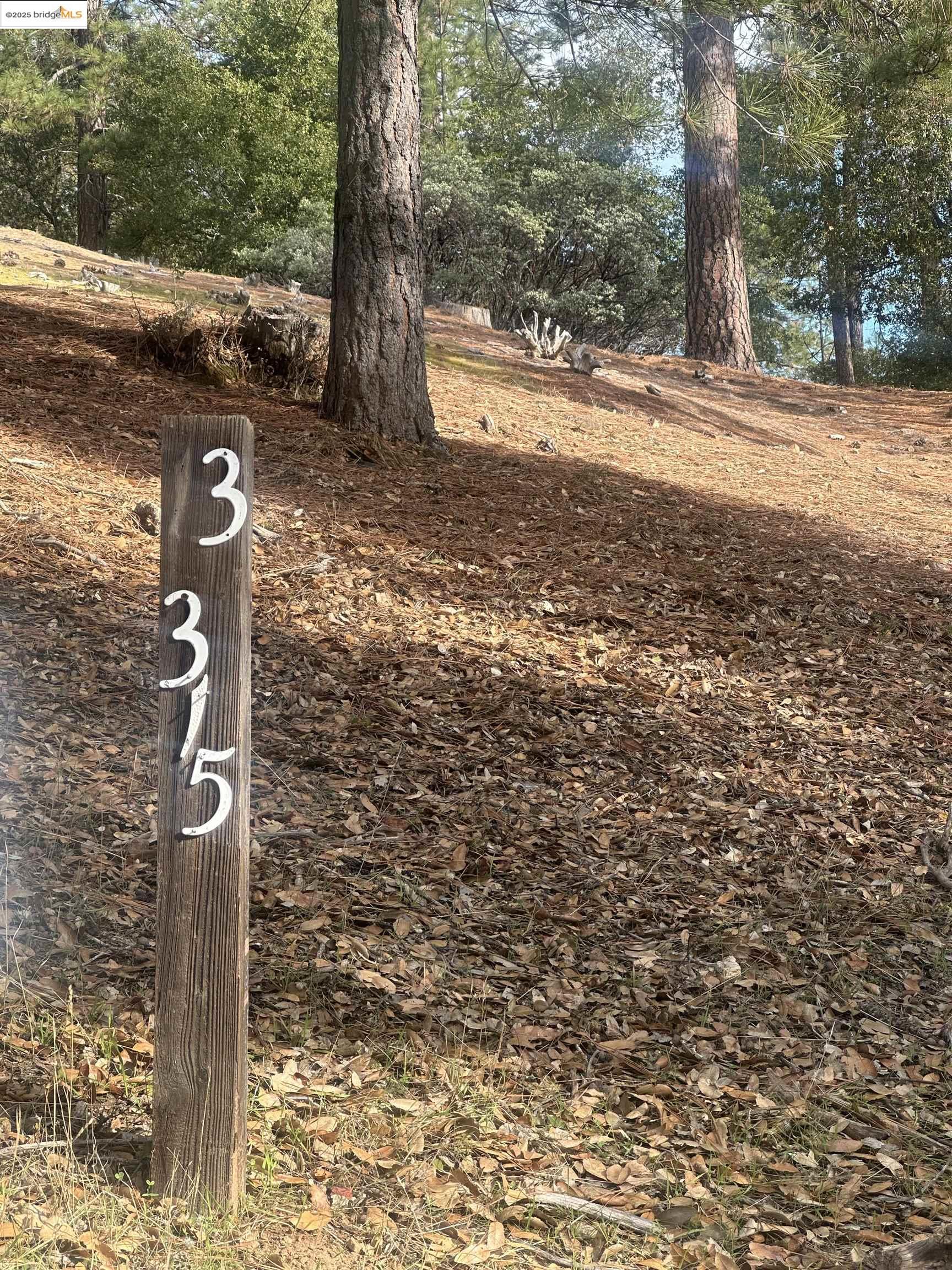 a view of a street with large trees