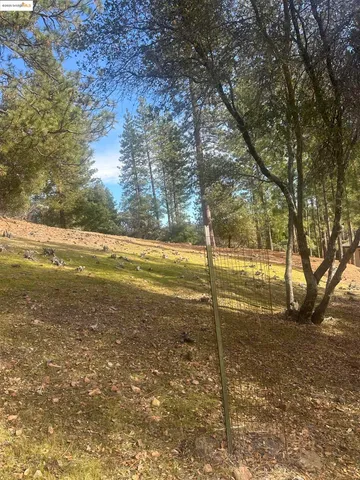 a view of a yard with a tree