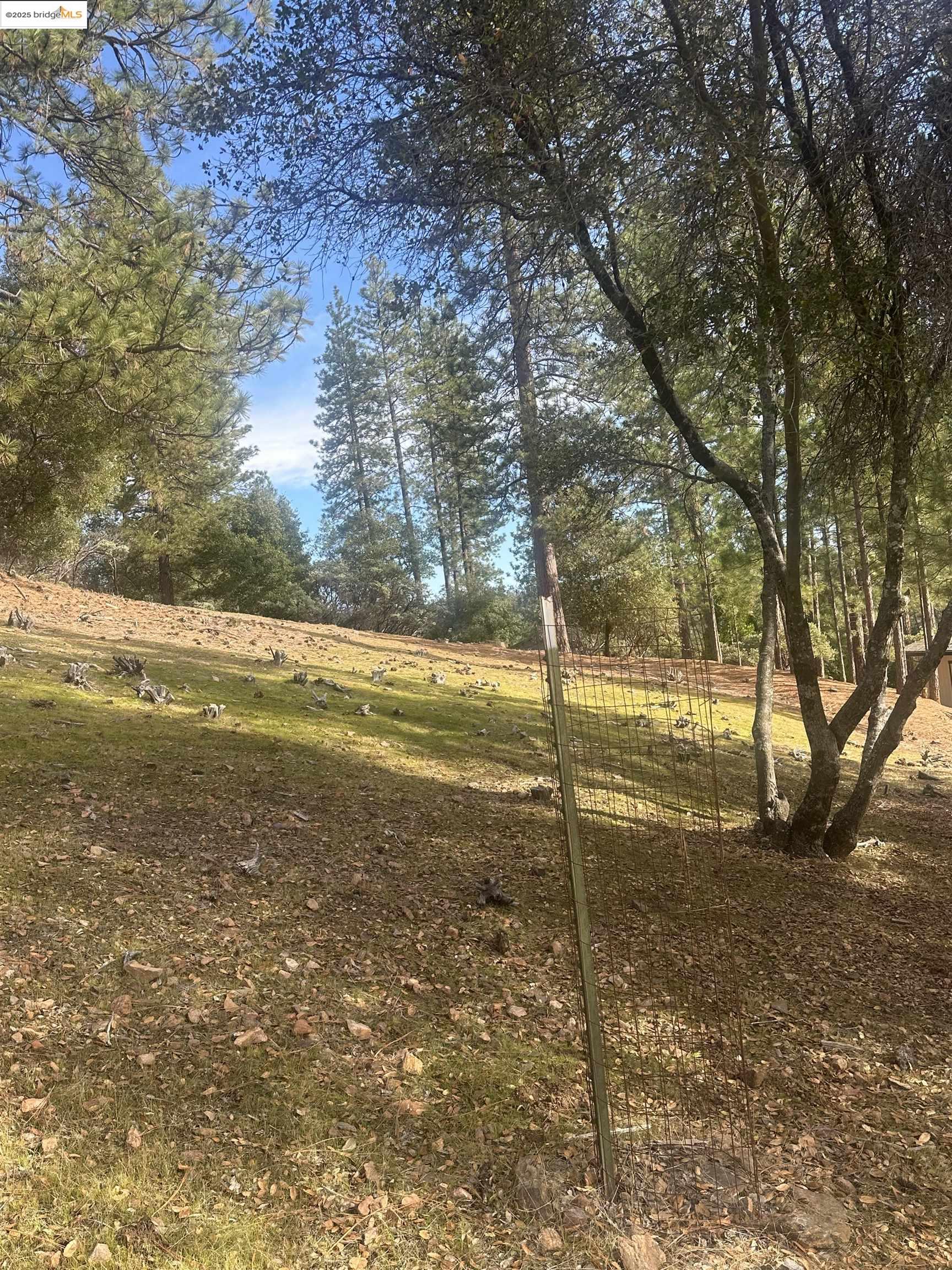 13-315 Ridgecrest Way Groveland, CA 95321 - Photo 2 of 9 View of yard