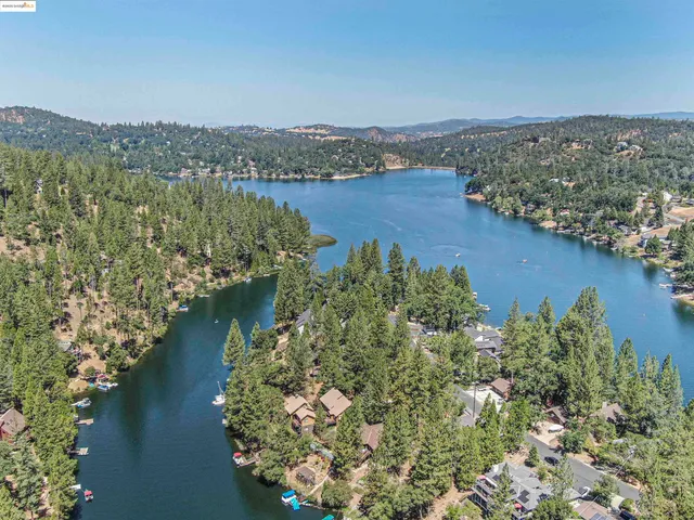 an aerial view of green landscape with trees houses and lake view