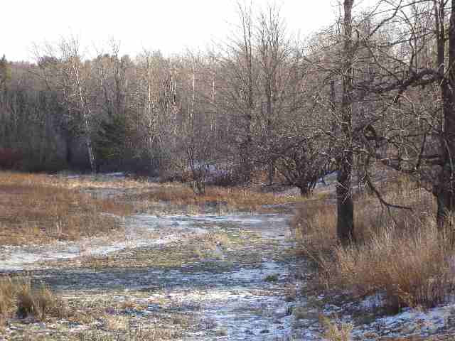 95 Remley Road Westerlo, NY 12193 - Photo 8 of 8 Photo 8