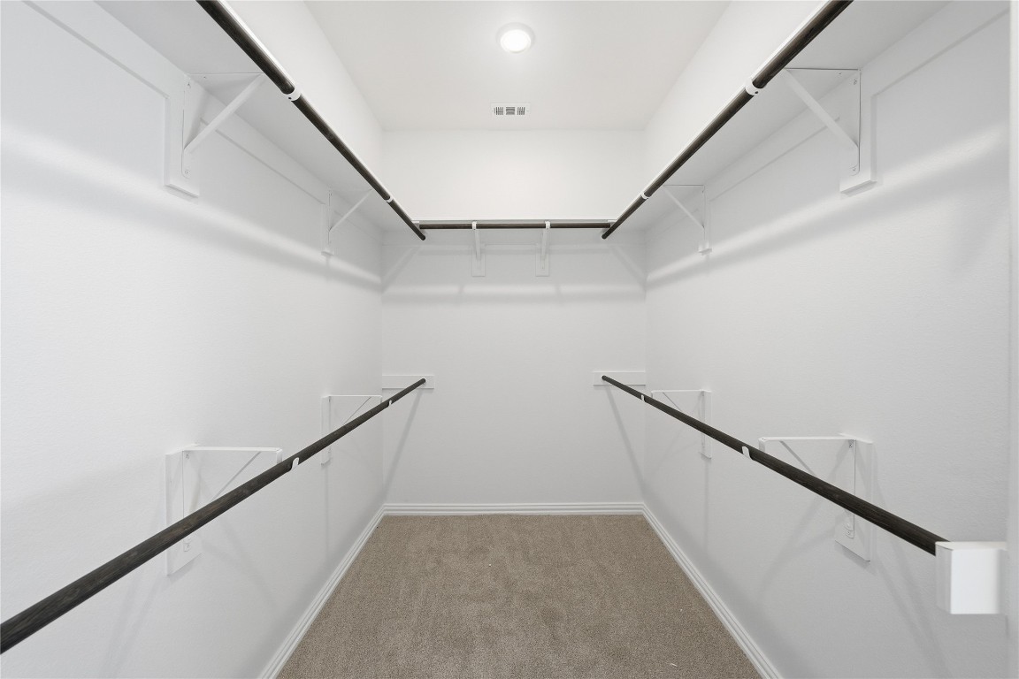 205 Caraway Drive Taylor, TX 76574 - Photo 10 of 15 Walk in closet featuring light colored carpet