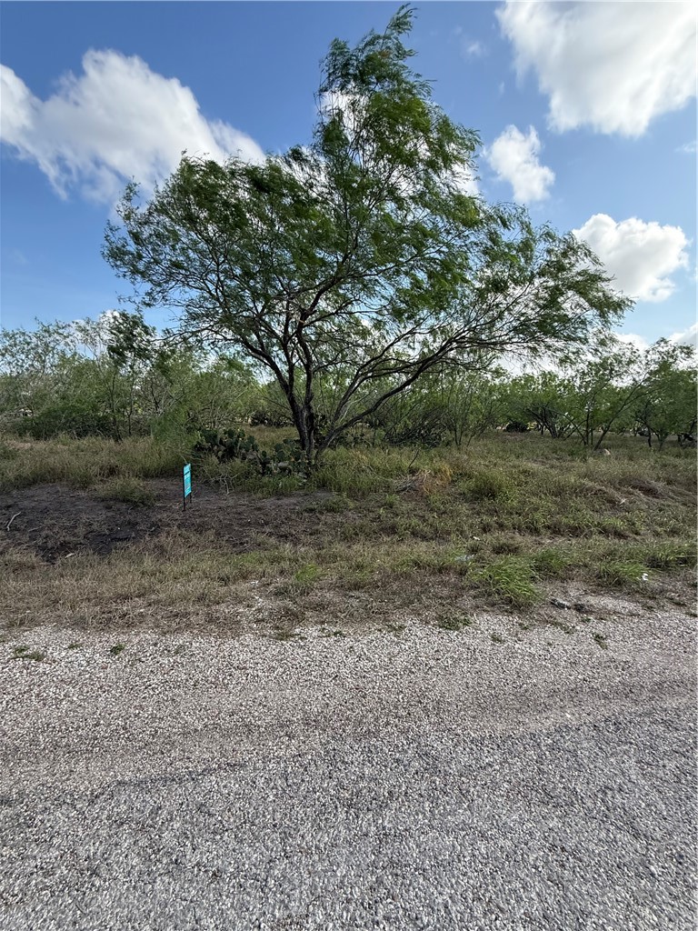 0 Heather Road Robstown, TX 78380 - Photo 2 of 4 Gallery Image 2
