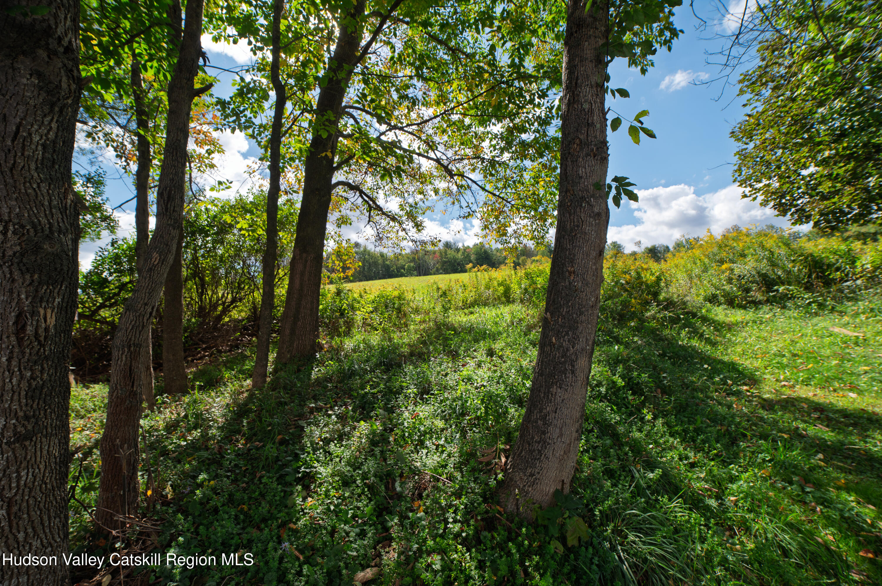 36940 Highway 23 Roxbury, NY 12434 - Photo 53 of 53 DSC_3293