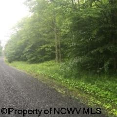 1308 Sand Run Road Davis, WV 26260 - Photo 21 of 30 Gallery Image 21