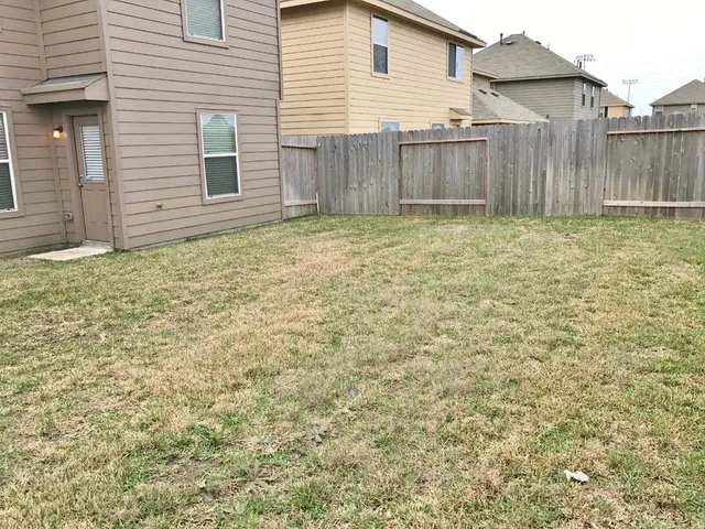 a view of a backyard