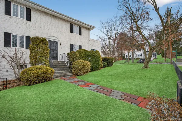 a view of a backyard with potted plants and large tree