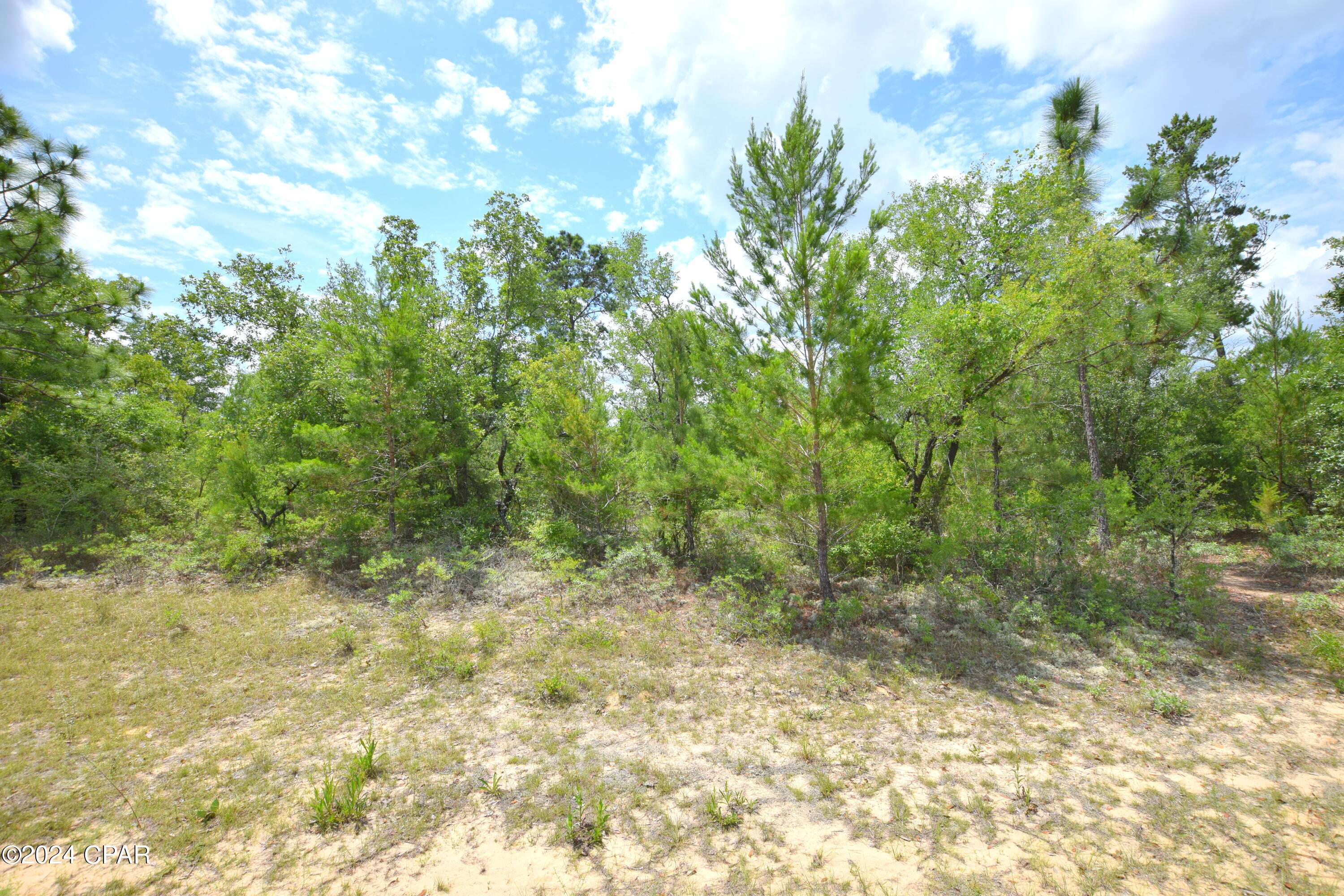 Tbd Tbd Drive Chipley, FL 32428 - Photo 2 of 4
