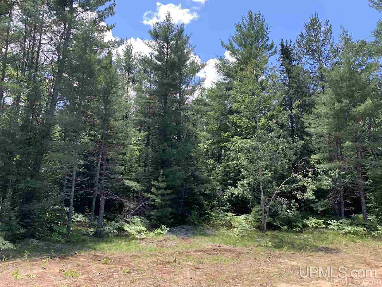 N17601 Co Road Grand Marais, MI 49839 - Photo 15 of 38