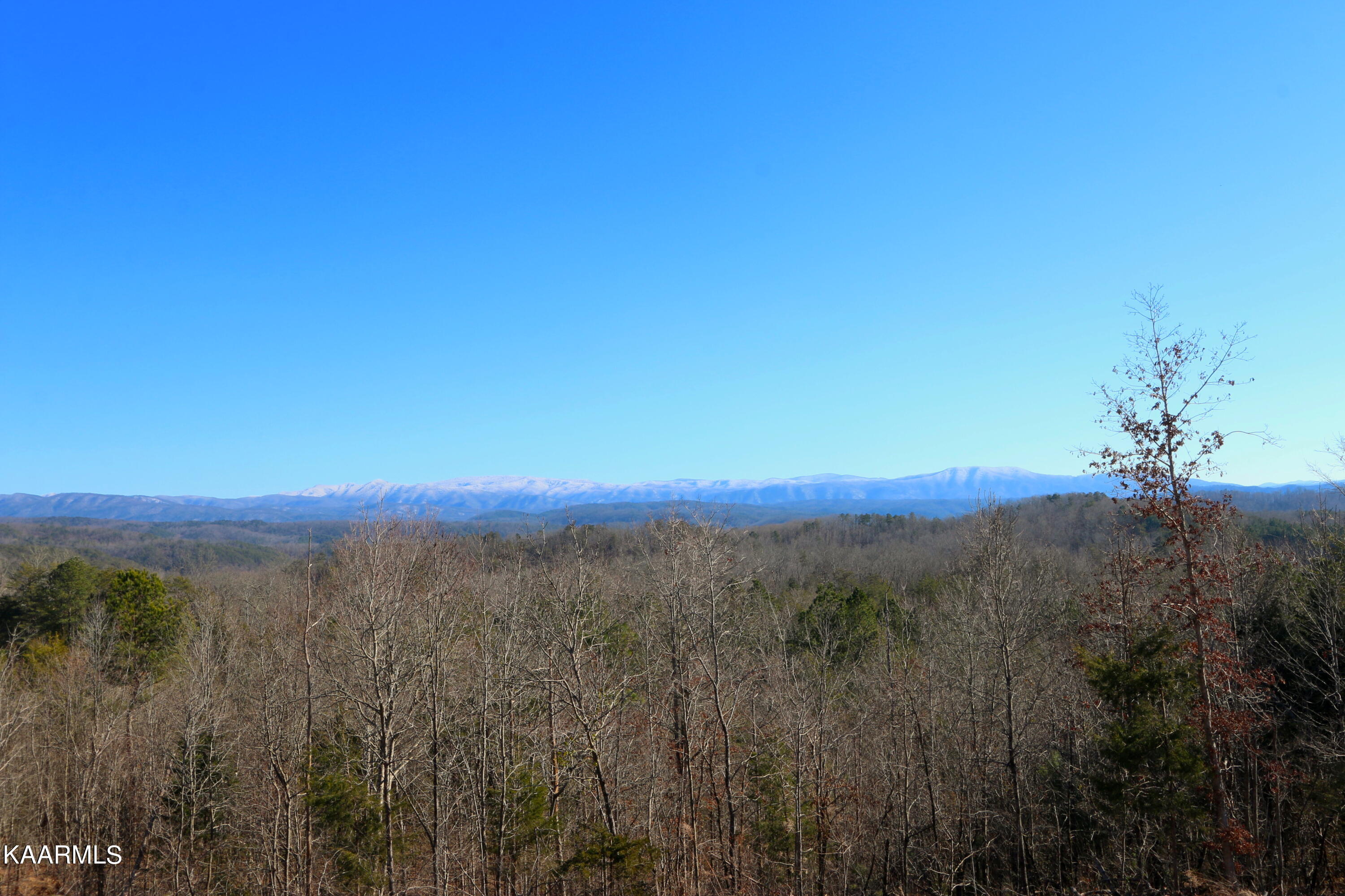 10 Bill Moser Road Vonore, TN 37885 - Photo 1 of 32 IMG_0279