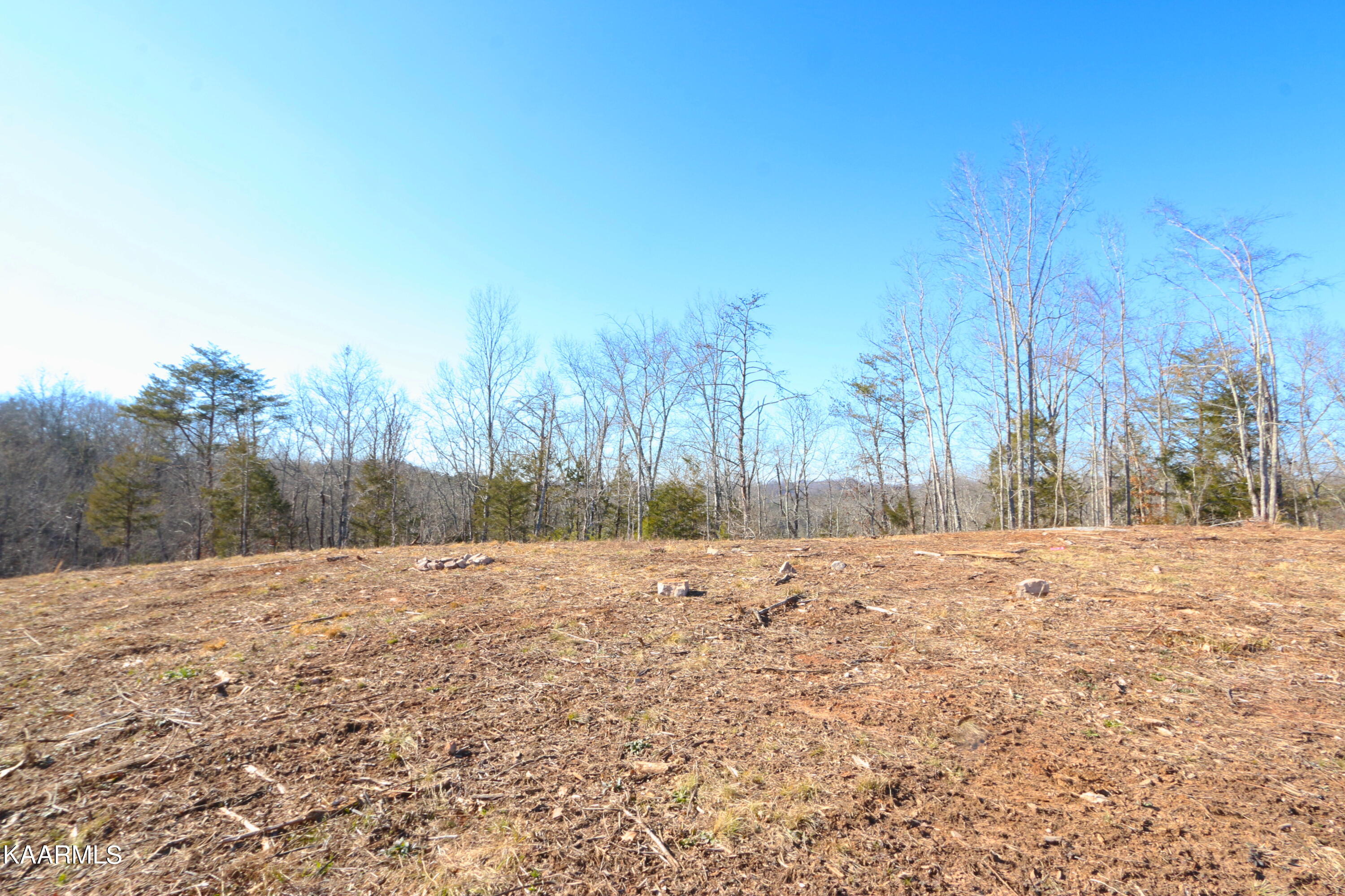 10 Bill Moser Road Vonore, TN 37885 - Photo 11 of 32 IMG_0272