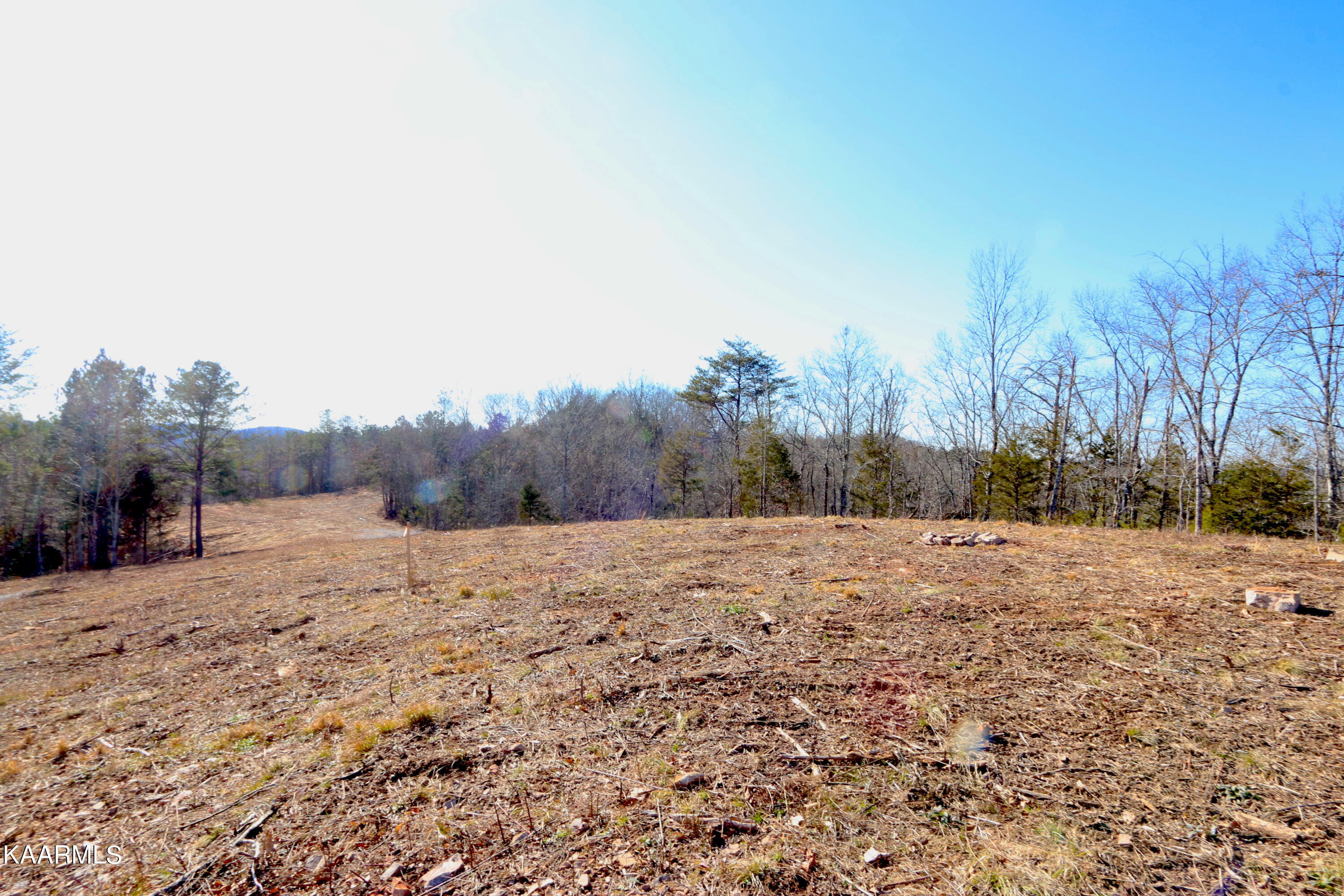 10 Bill Moser Road Vonore, TN 37885 - Photo 12 of 32 IMG_0273