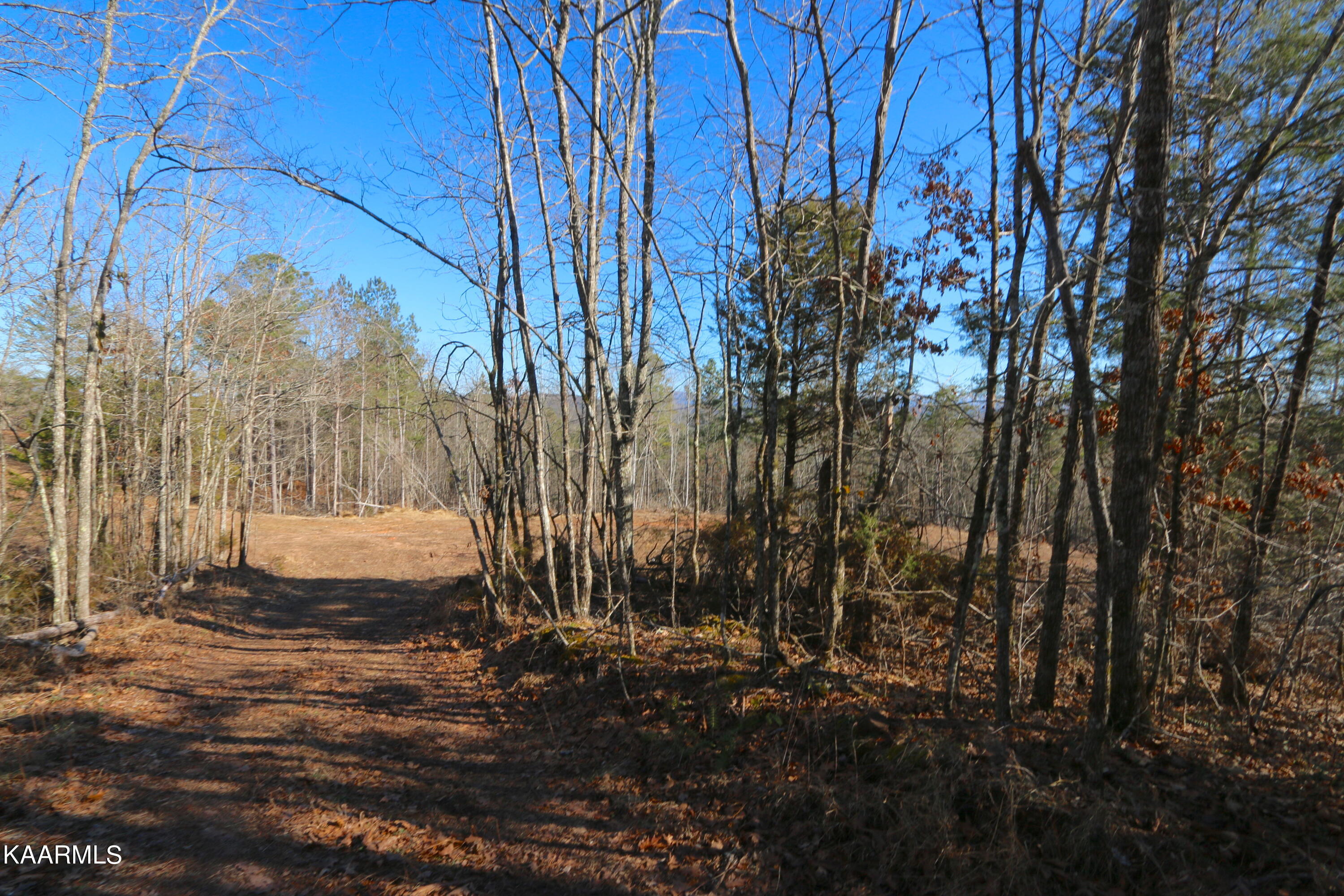 10 Bill Moser Road Vonore, TN 37885 - Photo 16 of 32 IMG_0300