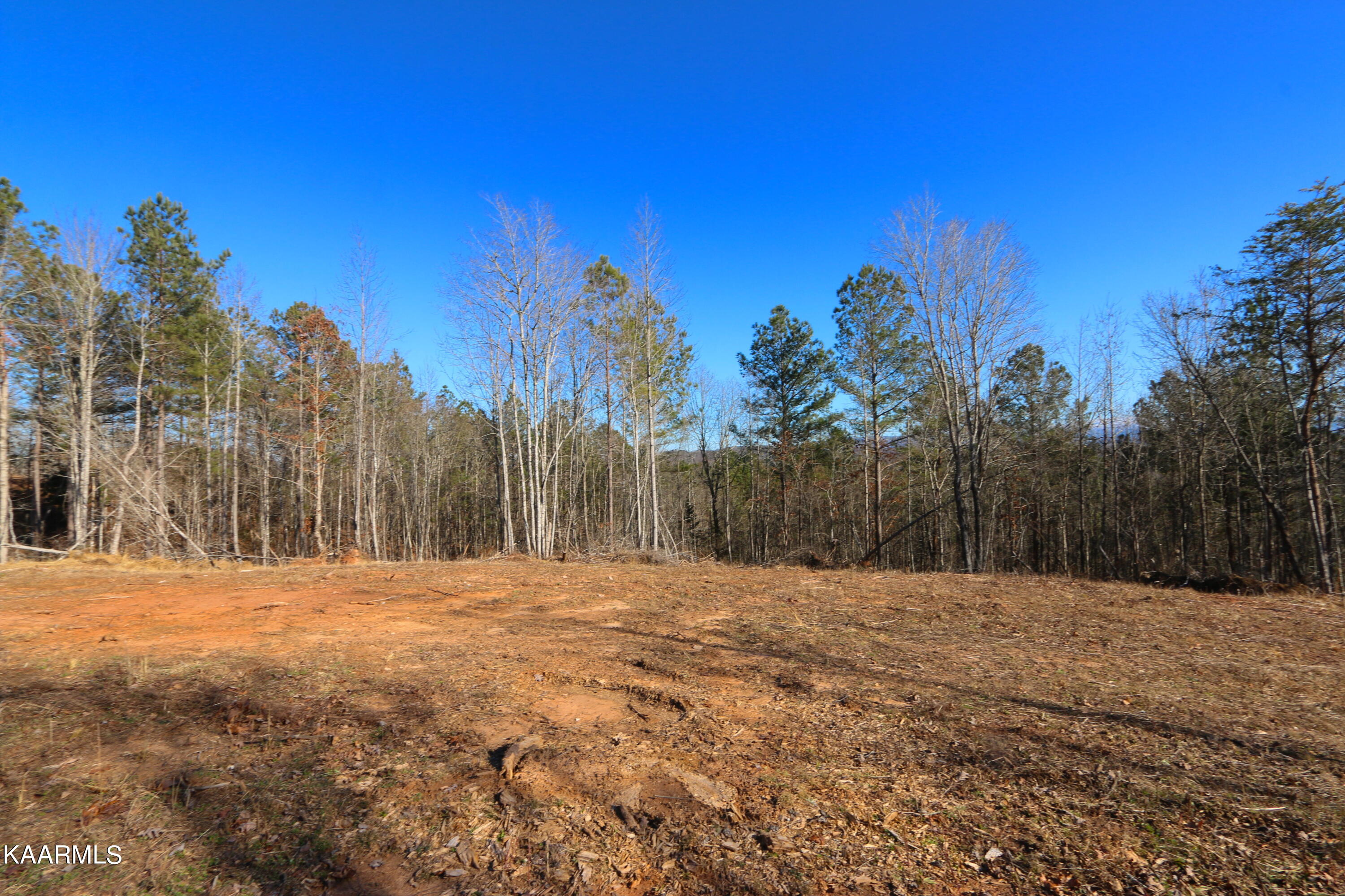10 Bill Moser Road Vonore, TN 37885 - Photo 17 of 32 IMG_0302