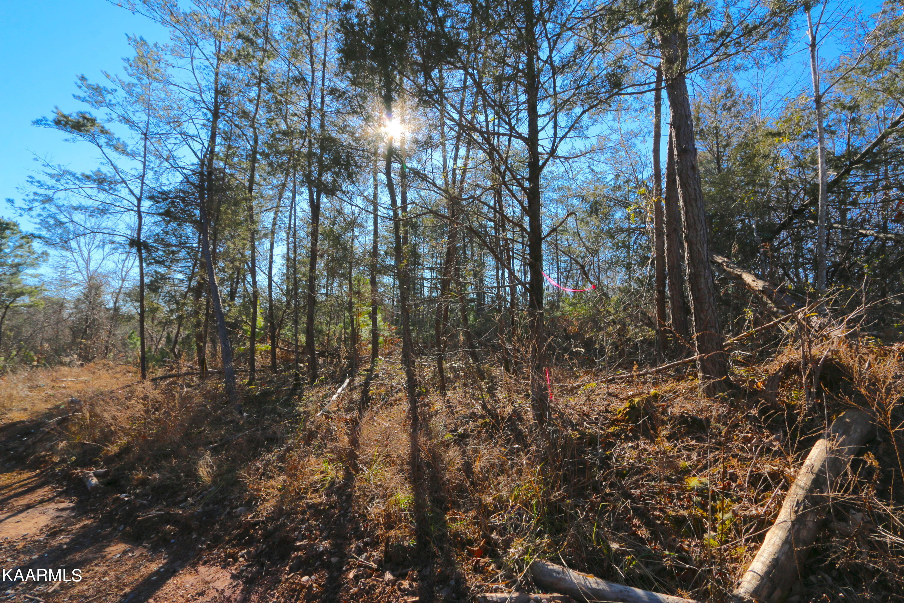 10 Bill Moser Road Vonore, TN 37885 - Photo 19 of 32 IMG_0314