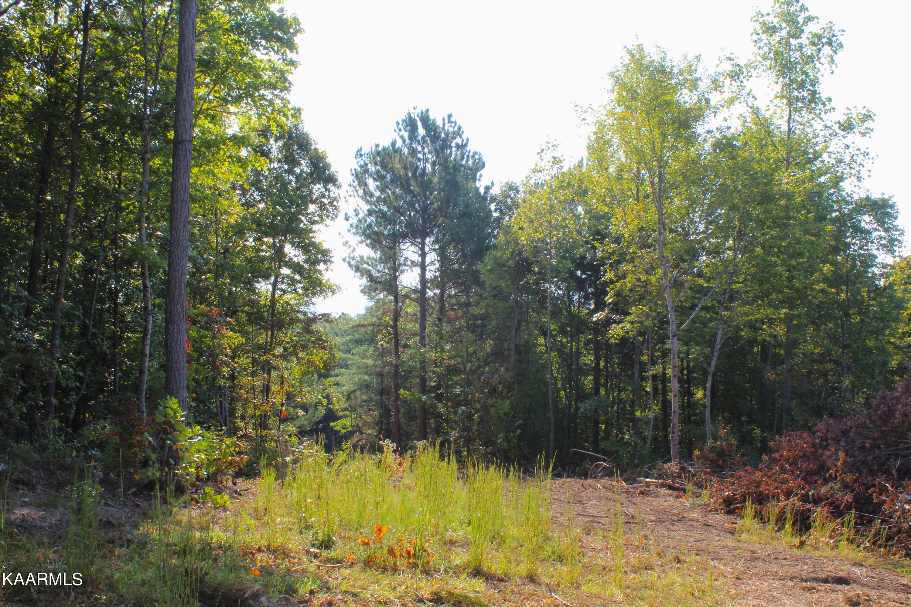 10 Bill Moser Road Vonore, TN 37885 - Photo 26 of 32 IMG_2457