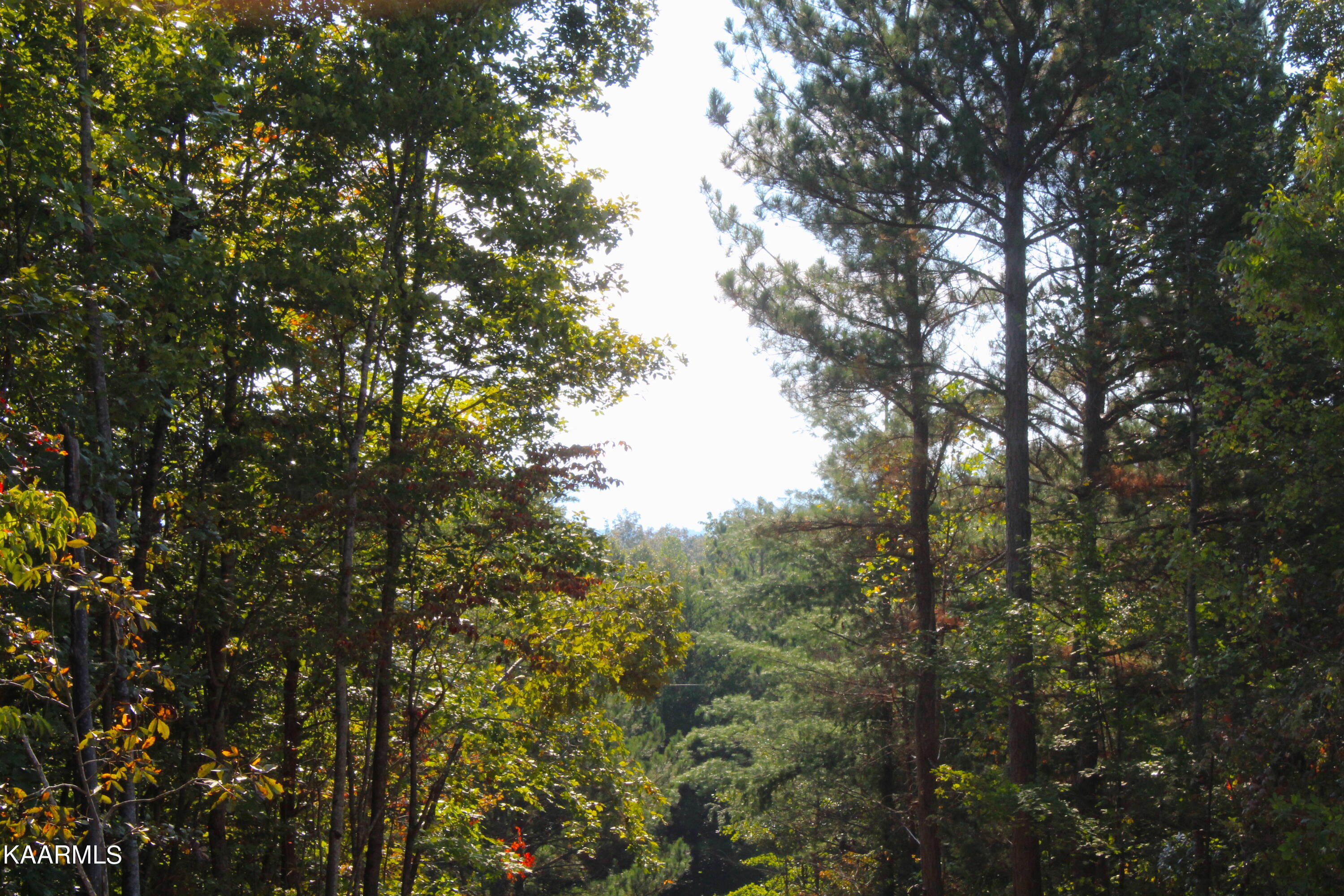 10 Bill Moser Road Vonore, TN 37885 - Photo 27 of 32 IMG_2464