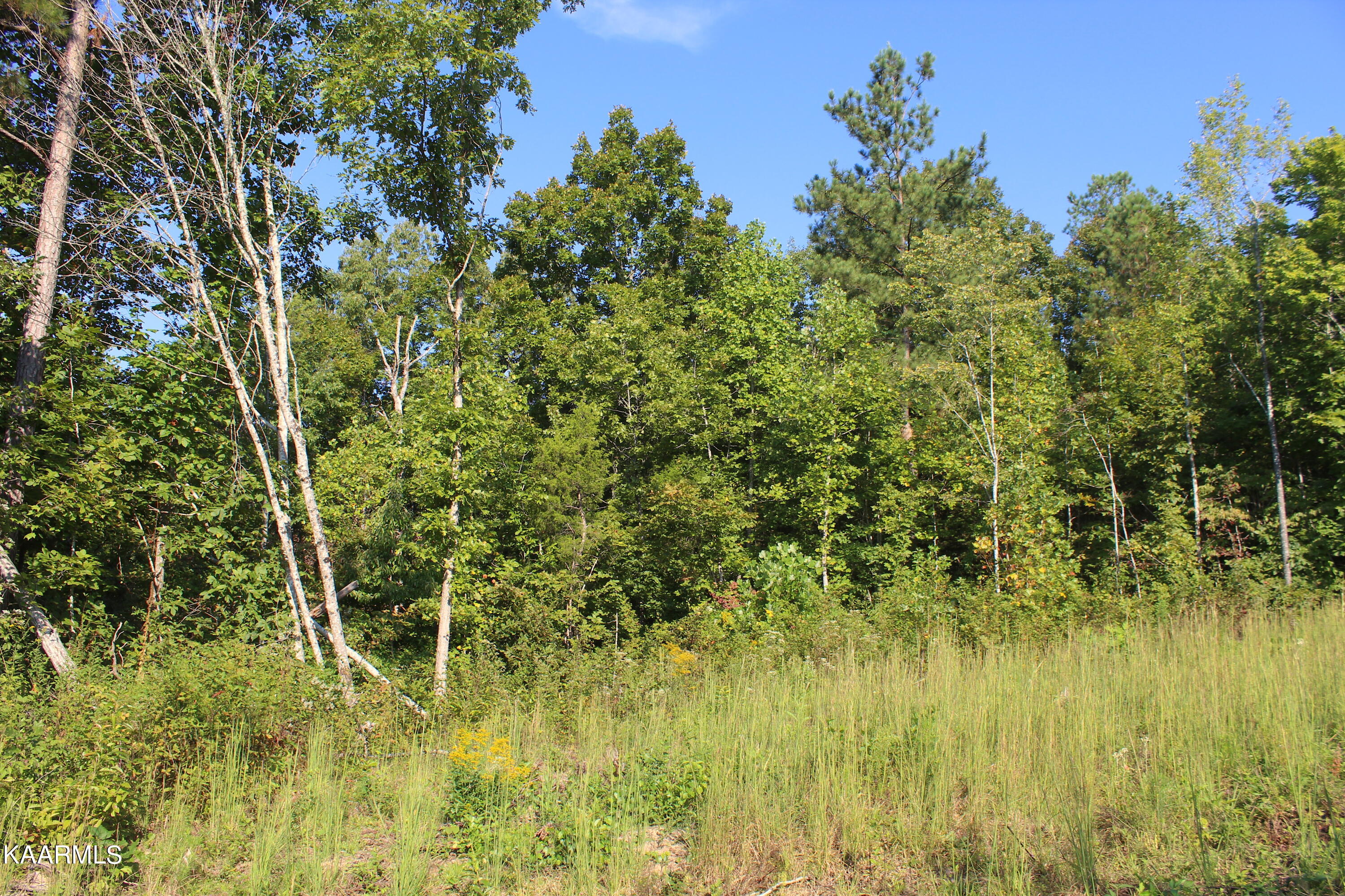 10 Bill Moser Road Vonore, TN 37885 - Photo 30 of 32 IMG_2471