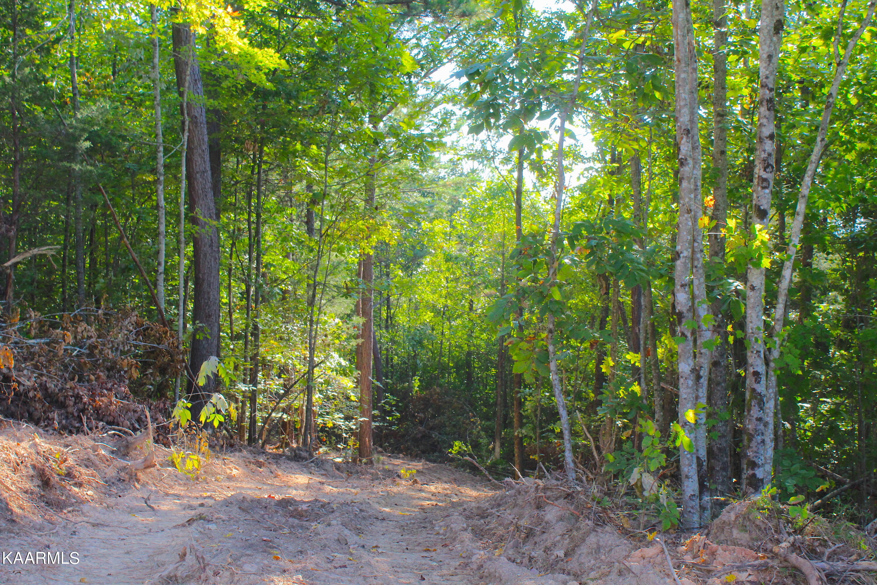 10 Bill Moser Road Vonore, TN 37885 - Photo 3 of 32 10or2_