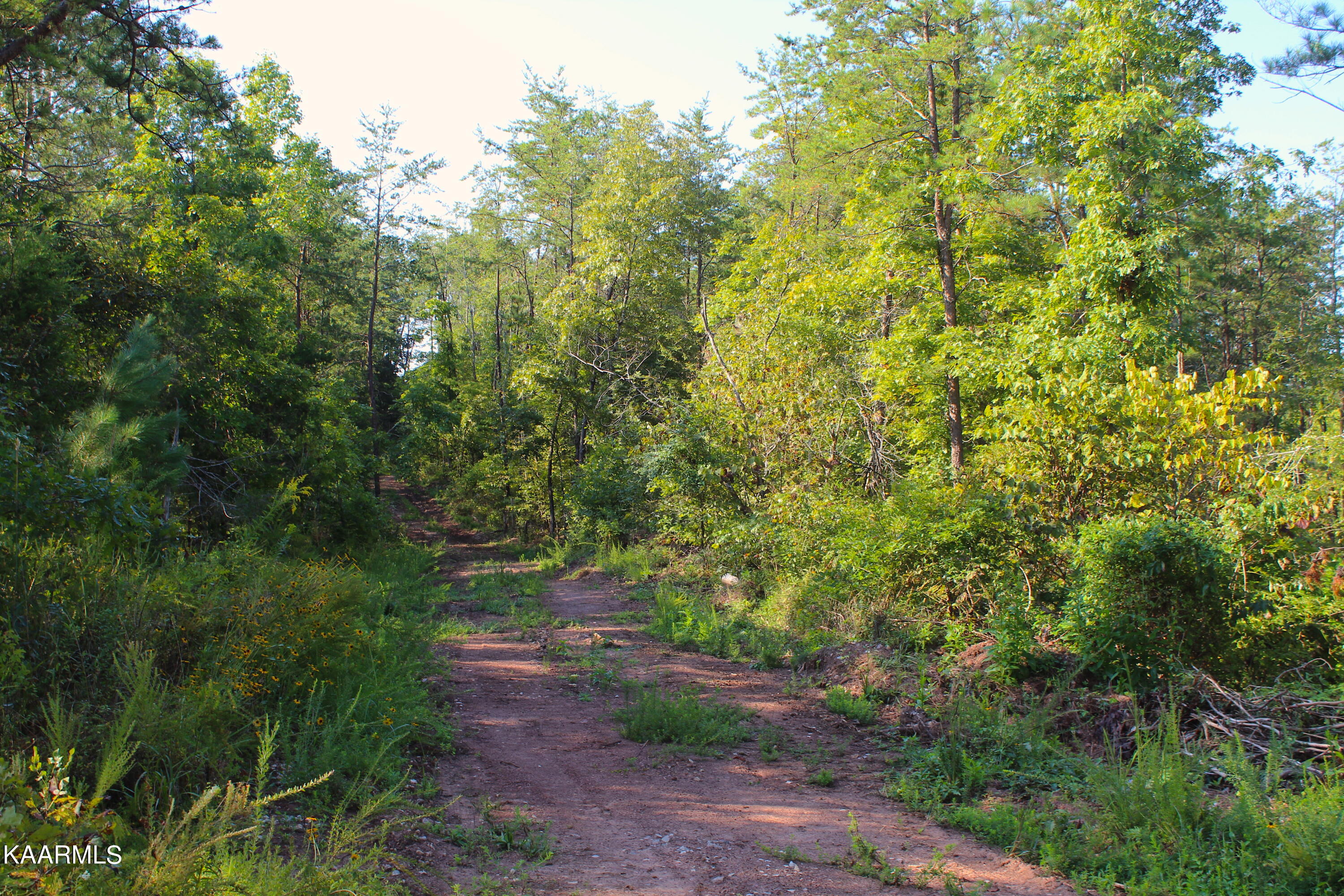 10 Bill Moser Road Vonore, TN 37885 - Photo 31 of 32 lot 10 or 2_